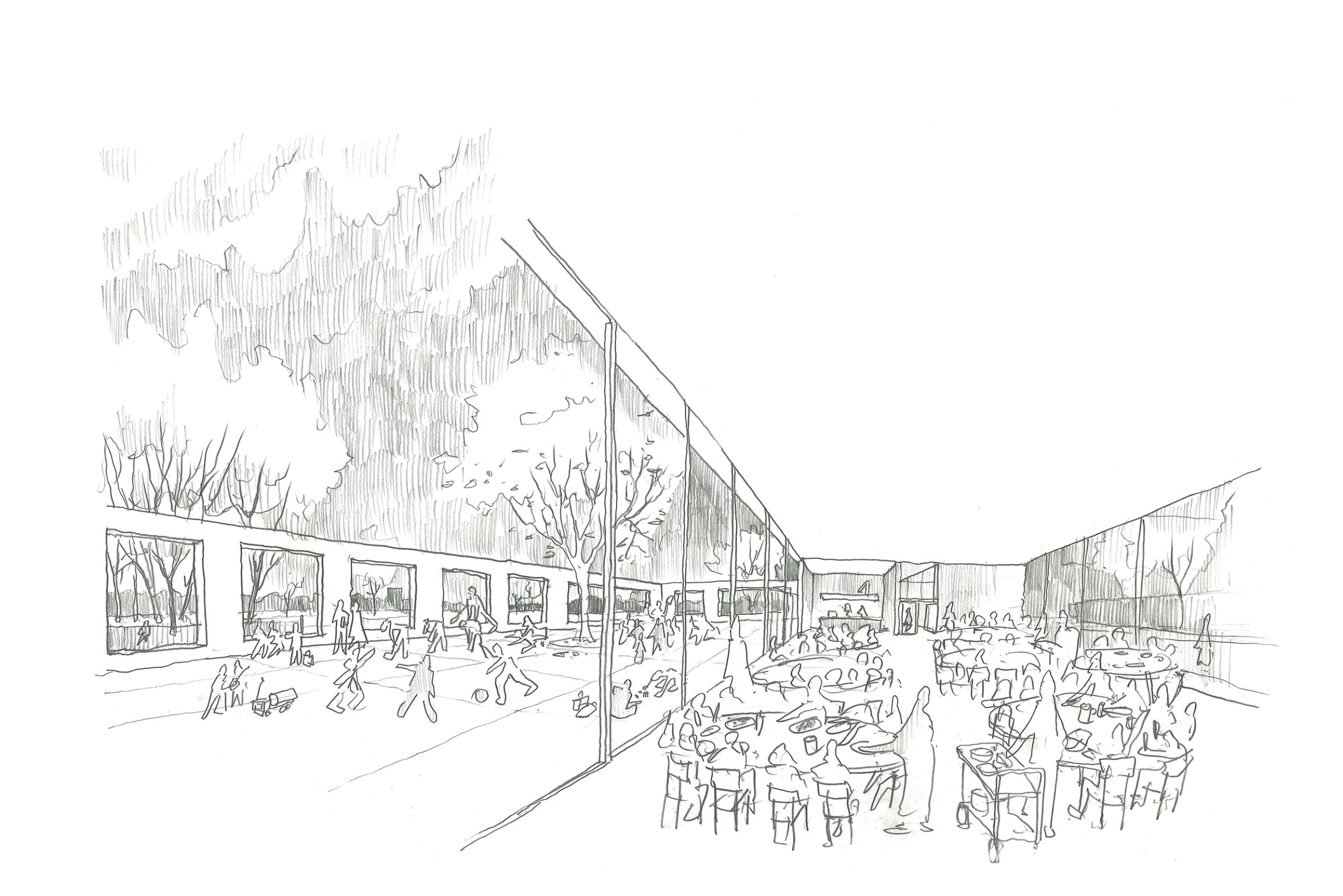 191.V+.EcoleForest.Dessin. cour primaire 01 LD