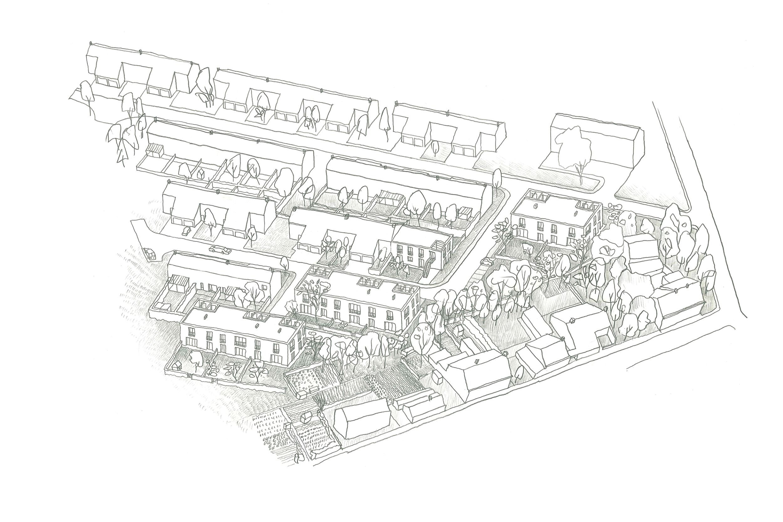 185 V+.Cornouailles.Dessin.axo nb LD