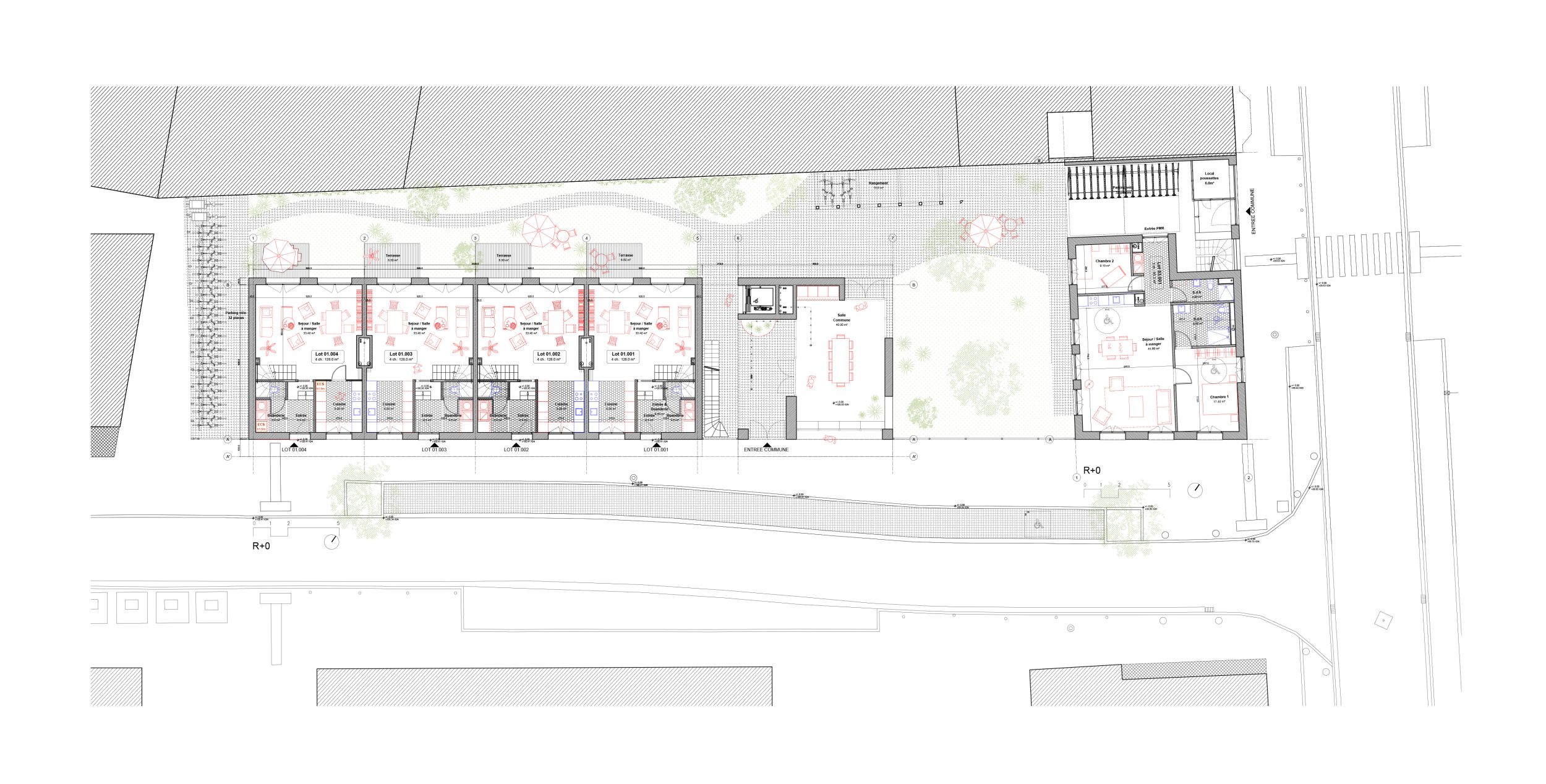 PLans implantation