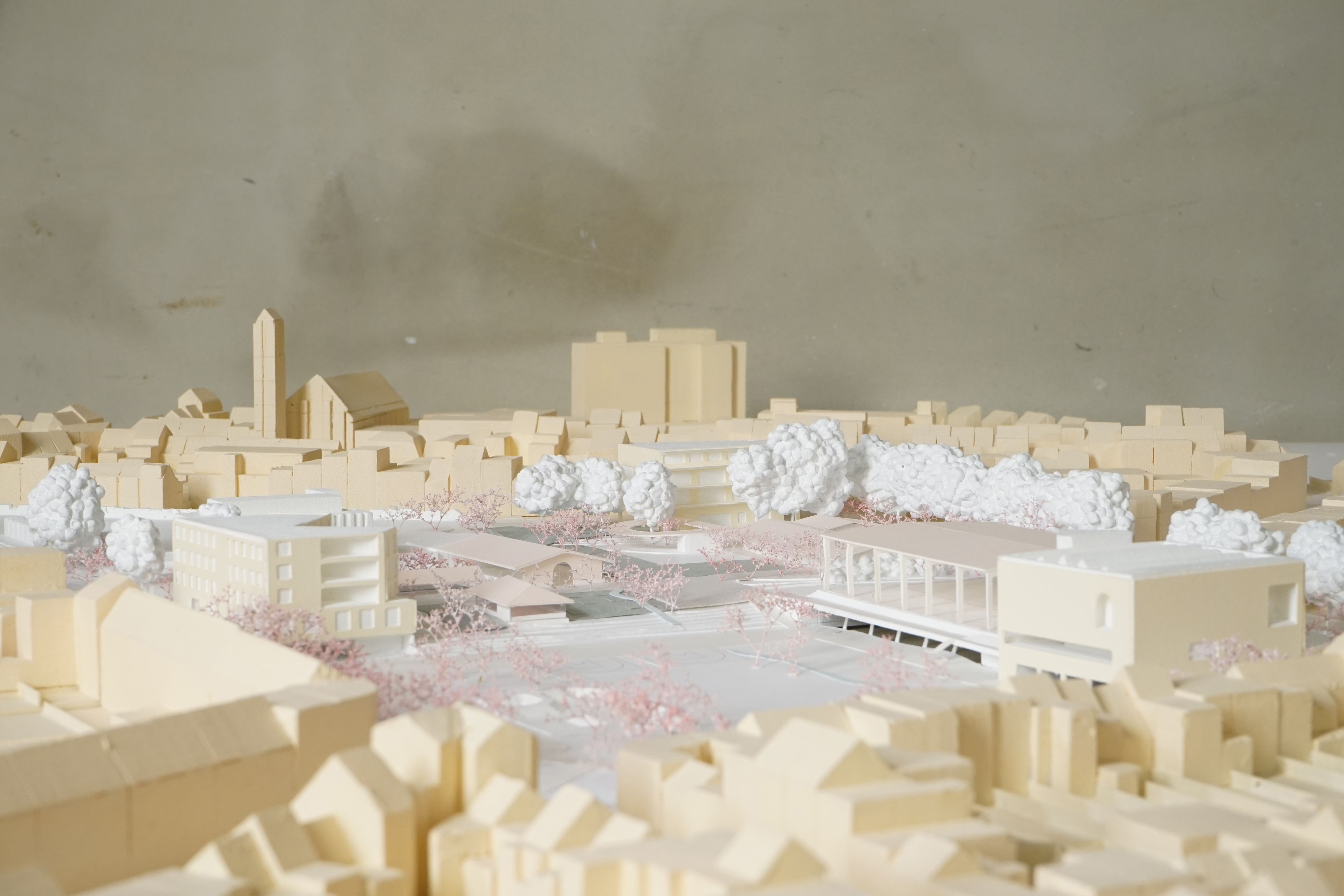 51N4E.MSA.V+. Swaef . Photo Maquette. 08