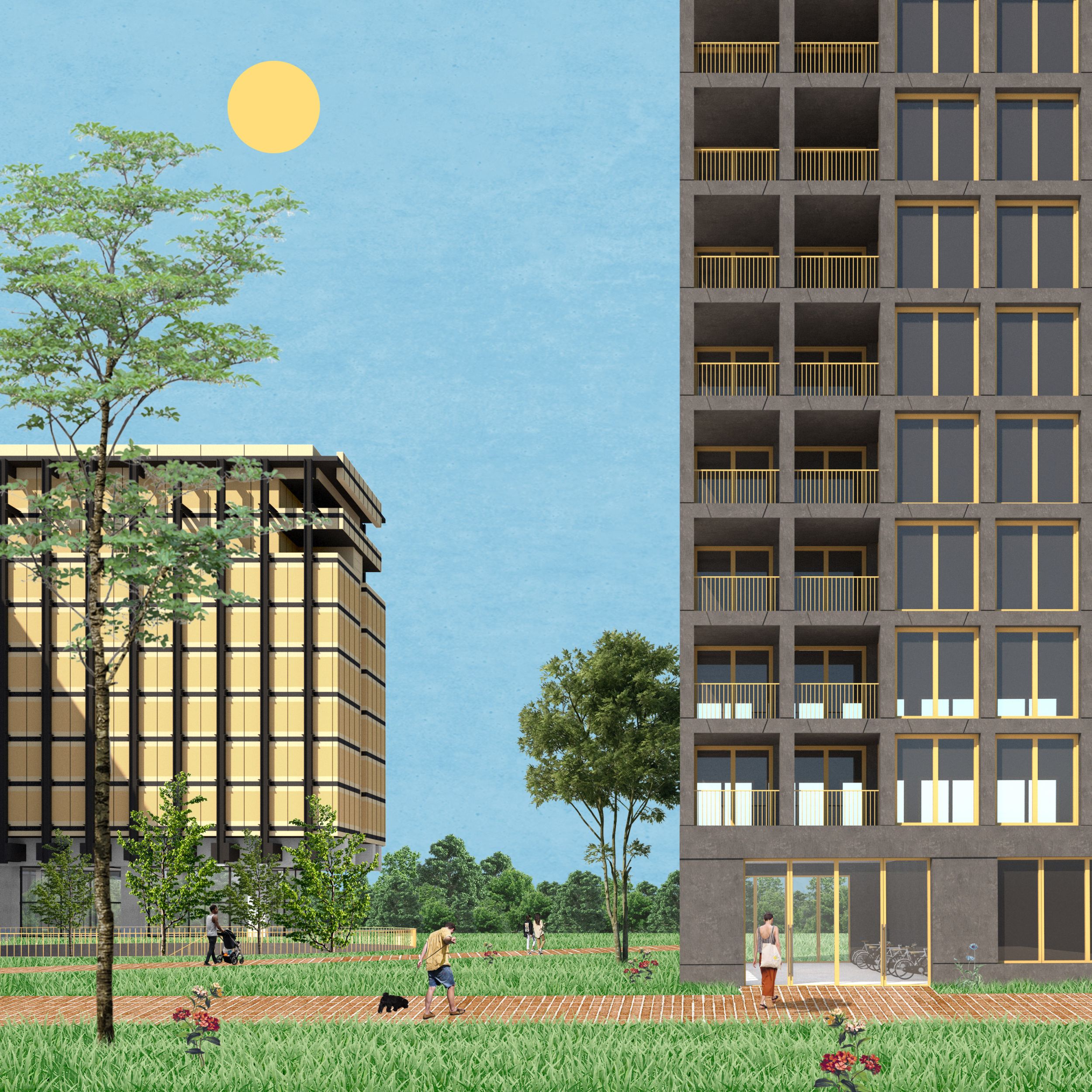 V+ . 264. Royale . Vue Parc 